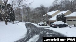 La primera tormenta invernal de 2019, ha traído de 10 a 20 centímetros de nieve en el área metropolitana de Washington, que incluye los estados de Virginia y Maryland.