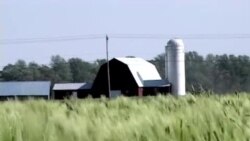 AQSh dehqon bozorlarida/Farmer's markets in the US