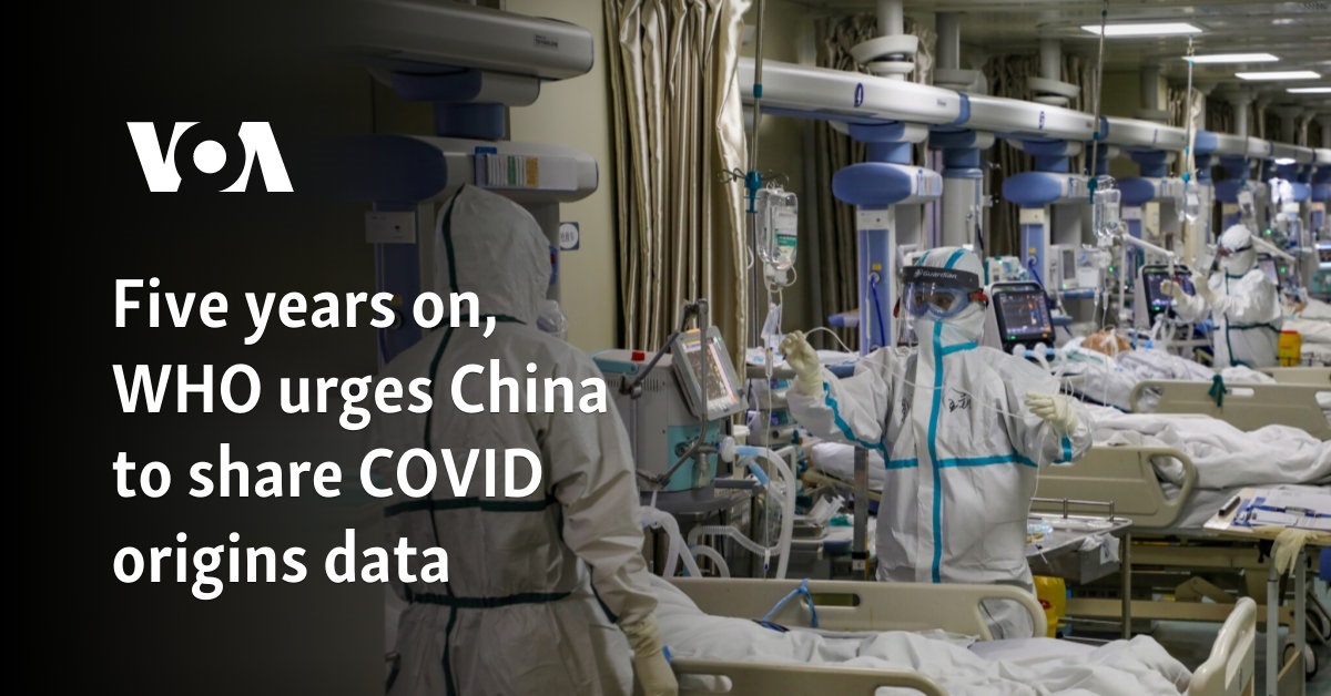 Five years on, WHO urges China to share COVID origins data