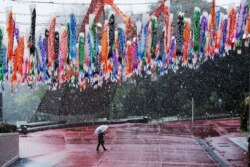 A man walks past hanging Koinobori during a snowfall in Tokyo, March 29, 2020. Tokyo governor has repeatedly asked the city's 13 million residents to stay home this weekend, saying the capital is on the brink of an explosion in virus infections.