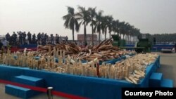 Ivory that was crushed in Guangdong Province in China on January 6, 2014. Photo courtesy of WildAid