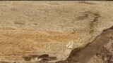 Вести од САД во минута