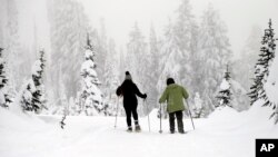 In this photo taken Dec. 16, 2016, snowshoers walk near the Paradise area at Mount Rainier National Park, Washington.