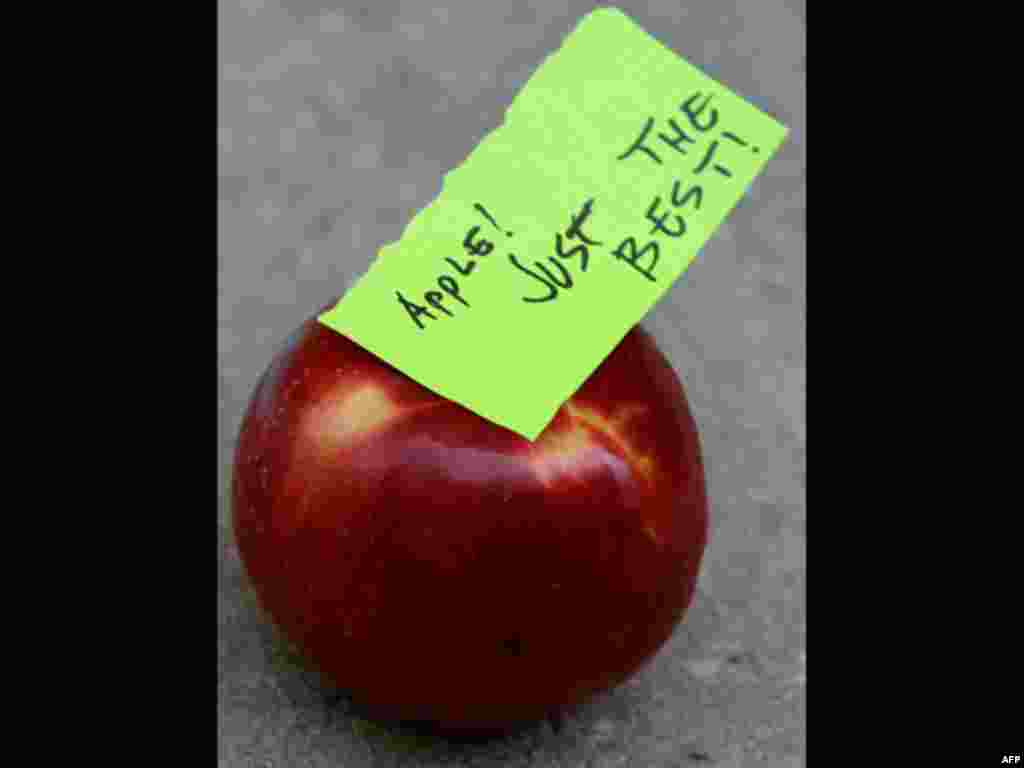 An apple displayed in tribute to Steve Jobs outside of an Apple store in Chicago, Thursday, Oct. 6, 2011. Jobs, the Apple founder and former CEO who invented and masterfully marketed ever-sleeker gadgets that transformed everyday technology, from the pers