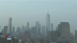 Esmanê New York û Washington bi Dûmana Agirê Kenedayê Tarî Bûye