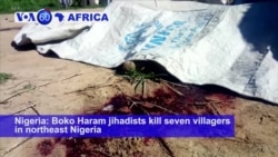 VOA60 Africa - Boko Haram jihadists kill seven villagers in northeast Nigeria