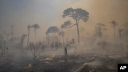 FILE - In this Aug. 23, 2020 file photo, fire consumes land recently deforested by cattle farmers near Novo Progresso, Para state, Brazil. (AP Photo/Andre Penner, File)
