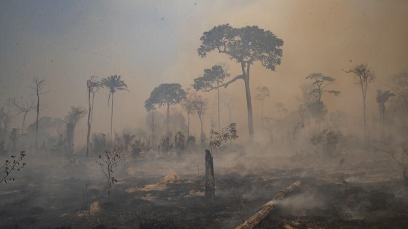 Worries Grow as Brazil’s Forest Fire Season Starts