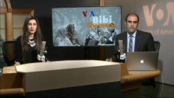 بي بي شیرینه – وي او اې ډيوه په ټیلې ویژن