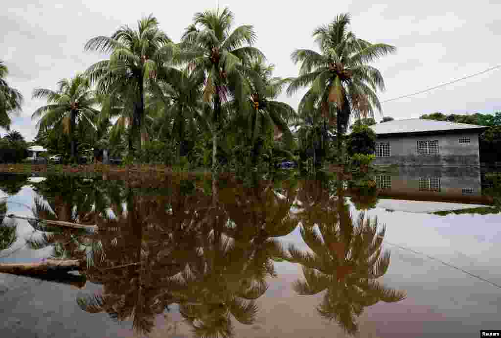 Una persona muerta y decenas desplazadas deja el paso de la tormenta Sara por Honduras y Belice, de acuerdo con información entregada el domingo por autoridades.