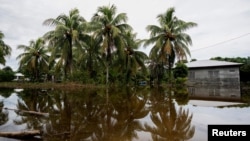 En Fotos | Miles de damnificados deja el paso de la tormenta Sara por Honduras y Belice