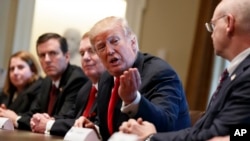 President Donald Trump speaks during a meeting with steel and aluminum executives in the Cabinet Room of the White House, March 1, 2018, in Washington. From left, Beth Ludwig of AK Steel, Roger Newport of AK Steel, John Ferriola of Nucor, Trump, and Dave Burritt of U.S. Steel Corporation. 