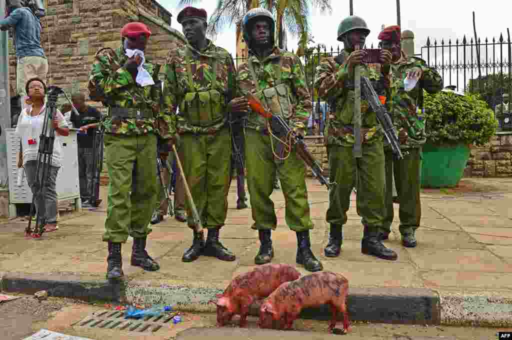 Polisi anti huru hara Kenya siaga di gerbang parlemen selama demonstrasi menuntut upah yang lebih tinggi di ibukota Nairobi, Kenya. 