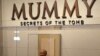 High-Tech Advances Reveal Mummy Secrets