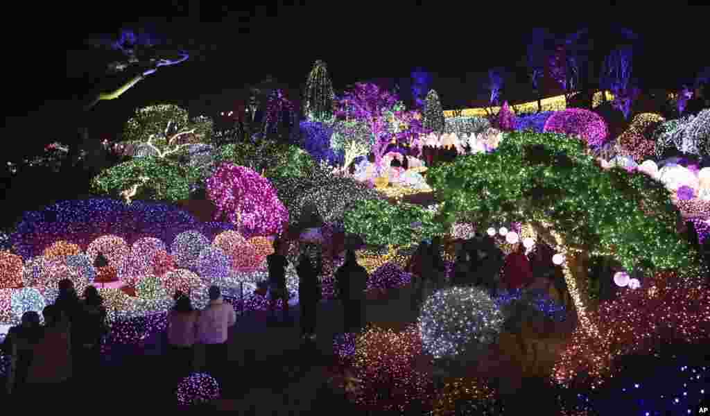 Visitors are silhouetted against illuminated lights decorating trees to celebrate the upcoming Christmas and New Year holiday season at the Garden of Morning Calm in Gapyeong, South Korea.