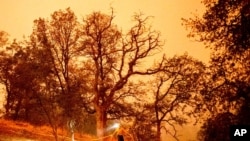 A firefighter lays hose around the Foothills Visitor Center while battling the KNP Complex Fire in Sequoia National Park, Calif., Sept. 14, 2021. 