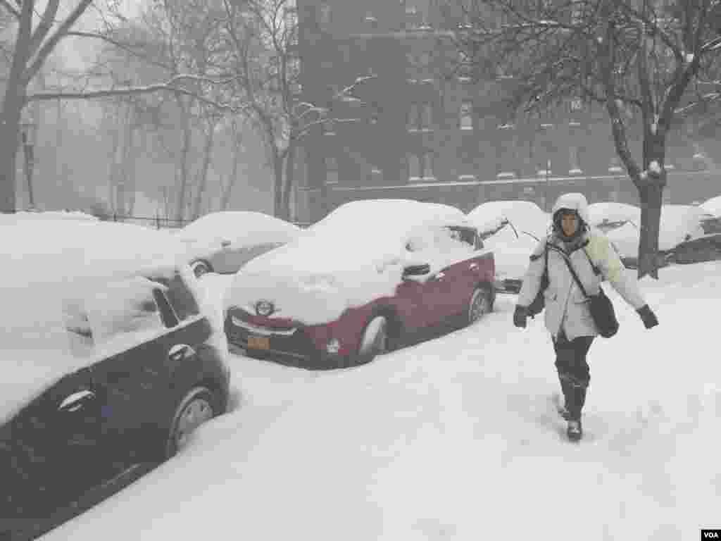 暴雪后的纽约 (美国之音平章拍摄)