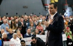 Republican presidential candidate, Sen. Ted Cruz, R-Texas speaks during a rally in Houston, Texas, Feb. 24, 2016.