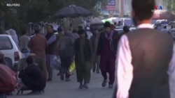 Տնտեսական ճգնաժամի շուրջ մտահոգությունների ֆոնին Քաբուլում մսագործներն աշխատանքի հնարավորությունների հույս ունեն