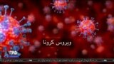 اخبار شامگاهی