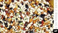 Scientists Discover Surprises in New Map of Cowpea Genome