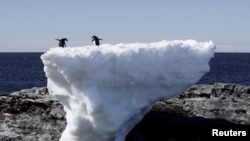 FILE - Two Adelie penguins stand atop a block of melting ice on a rocky shoreline at Cape Denison, Commonwealth Bay, in East Antarctica, Jan. 1, 2010.