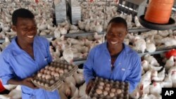 Partnerstvo američke i vlade Mozambika te firmi TechnoServe i Cargill pomoglo je transformaciji peradarstva u Mozambiku