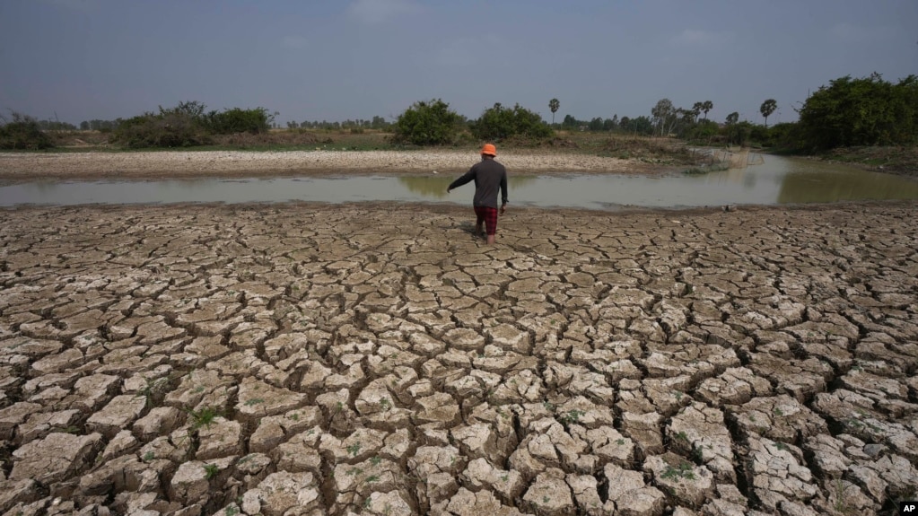 រូបឯកសារ៖ បុរស​ម្នាក់​ដើរ​ចាប់​ត្រី​ក្នុង​ភក់​បាត​ព្រែក​ក្នុង​រដូវប្រាំង នៅ​ជាយ​រាជធានី​ភ្នំពេញ ប្រទេស​កម្ពុជា ថ្ងៃ​សៅរ៍ ទី១១ ខែ​មីនា ឆ្នាំ​២០២៣។