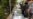 UN Security Council Calls For Investigation of Alleged Syria Attack