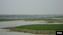 Sawah di waduk (Foto: dok.)