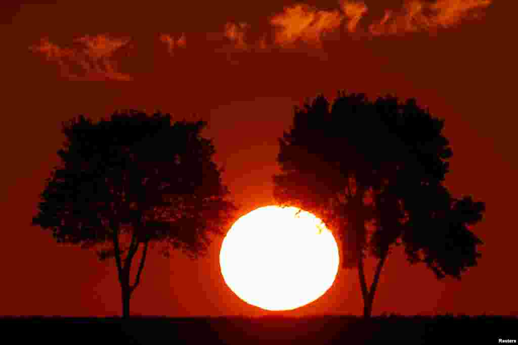 Trees are seen in silhouette during sunset in Baralle near Cambrai, France, July 20, 2019.