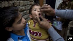 "Forty thousand of our children will be left without vaccination," said the director of the public health department in Nangarhar.