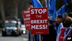 Para demonstran pro-Eropa melakukan aksi protes di luar gedung parlemen di London, Inggris, Jumat, 11 Januari 2019. (Foto: dok).