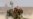 Many Americans Fighting in Iraq, Syria May Be IS Foes