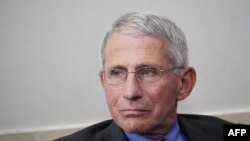 Dr Anthony Fauci