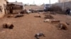 FILE - Animal carcasses lie on the ground, killed by what residents said was a chemical weapon attack on Tuesday, in Khan al-Assal area near the northern city of Aleppo, Mar. 23, 2013.
