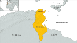 Tunisia Rocked by Protests 