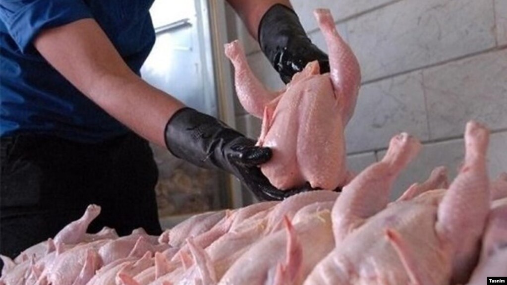 فروش مرغ در ایران (آرشیو)