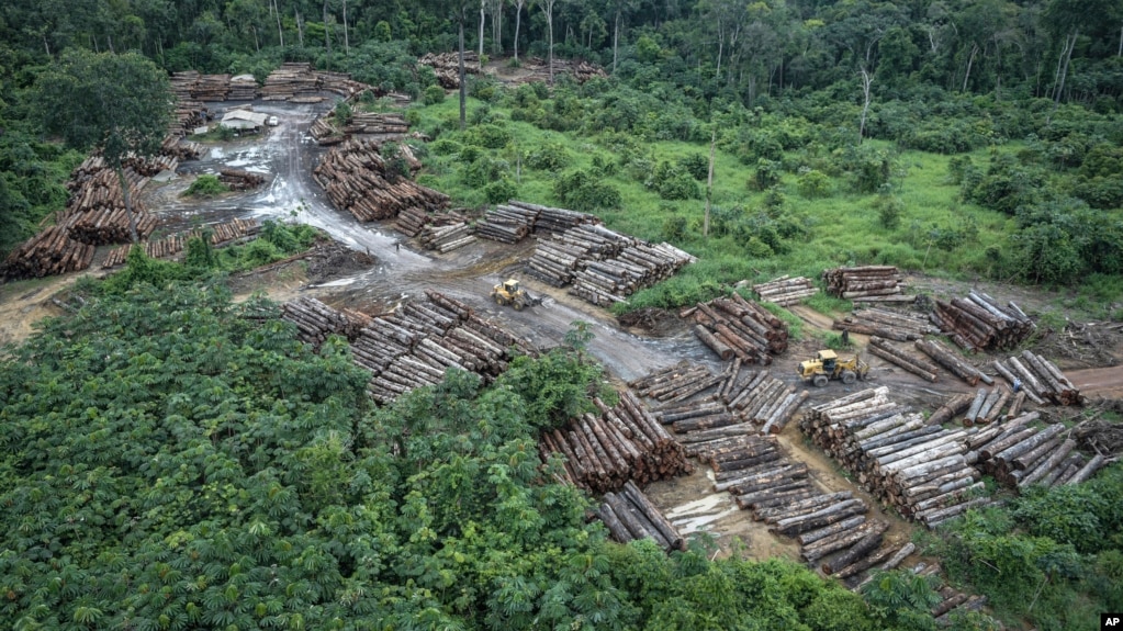This May 8, 2018 photo released by the Brazilian Environmental and Renewable Natural Resources Institute (Ibama) shows an illegally deforested area on Pirititi indigenous lands as Ibama agents inspect Roraima state in Brazil's Amazon basin. (Felipe Wernec