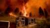 Kebakaran Hutan California Meluas ke Nevada