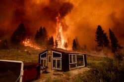 Tamarack Fire, melahap rumah kaca di komunitas Markleeville, Alpine County, California, Sabtu, 17 Juli 2021. (AP Photo/Noah Berger)