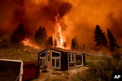 Tamarack Fire, melahap rumah kaca di komunitas Markleeville, Alpine County, California, Sabtu, 17 Juli 2021. (AP Photo/Noah Berger)