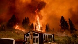 The Tamarack Fire burns behind a greenhouse in the Markleeville community of Alpine County, Calif., on Saturday, July 17, 2021. (AP Photo/Noah Berger)