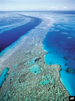 Great Barrier Reef