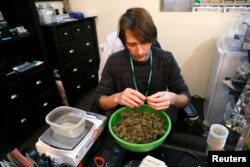 Skylar Hall prepares marijuana buds for sale at the Botana Care store ahead of their grand opening on New Year's day in Northglenn, Colorado, Dec. 31, 2013.