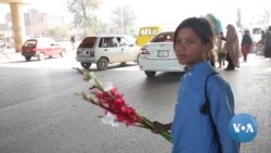 Organization Offers Free Education to Pakistan's Street Children