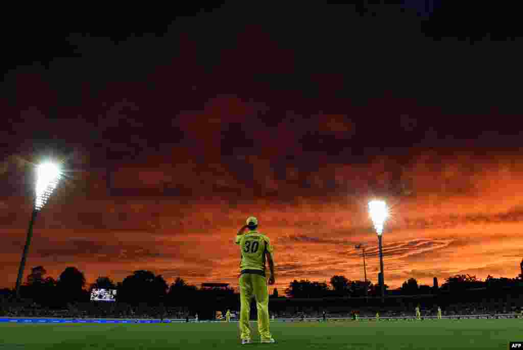 Australia&#39;s paceman Pat Cummins fields at the boundary line during the second game of the One Day International Cricket series between Australia and New Zealand in Canberra, Australia.
