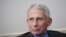 Dr Anthony Fauci