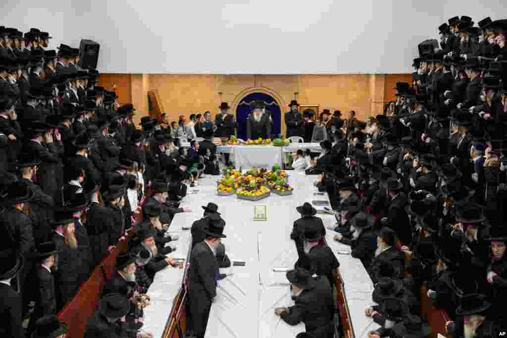 Ultra-Orthodox Jews of the Nadvorna Hasidic dynasty celebrate the Jewish feast of 'Tu Bishvat' or "New Year of the Trees" in the ultra-Orthodox town of Bnei Brak, Israel.