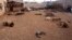 Animal carcasses lie on the ground, killed by what residents said was a chemical weapon attack on Tuesday, in Khan al-Assal area near the northern city of Aleppo, Mar. 23, 2013.
